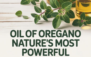 Complete Guide to Oil of Oregano