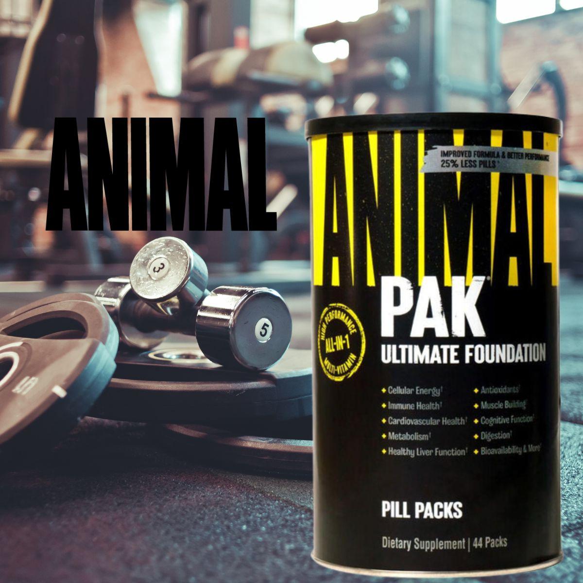 Universal Animal Pak 101 – Best Price Nutrition