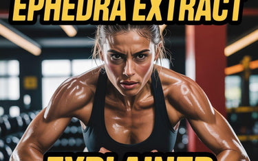 Understanding Ephedra Extract