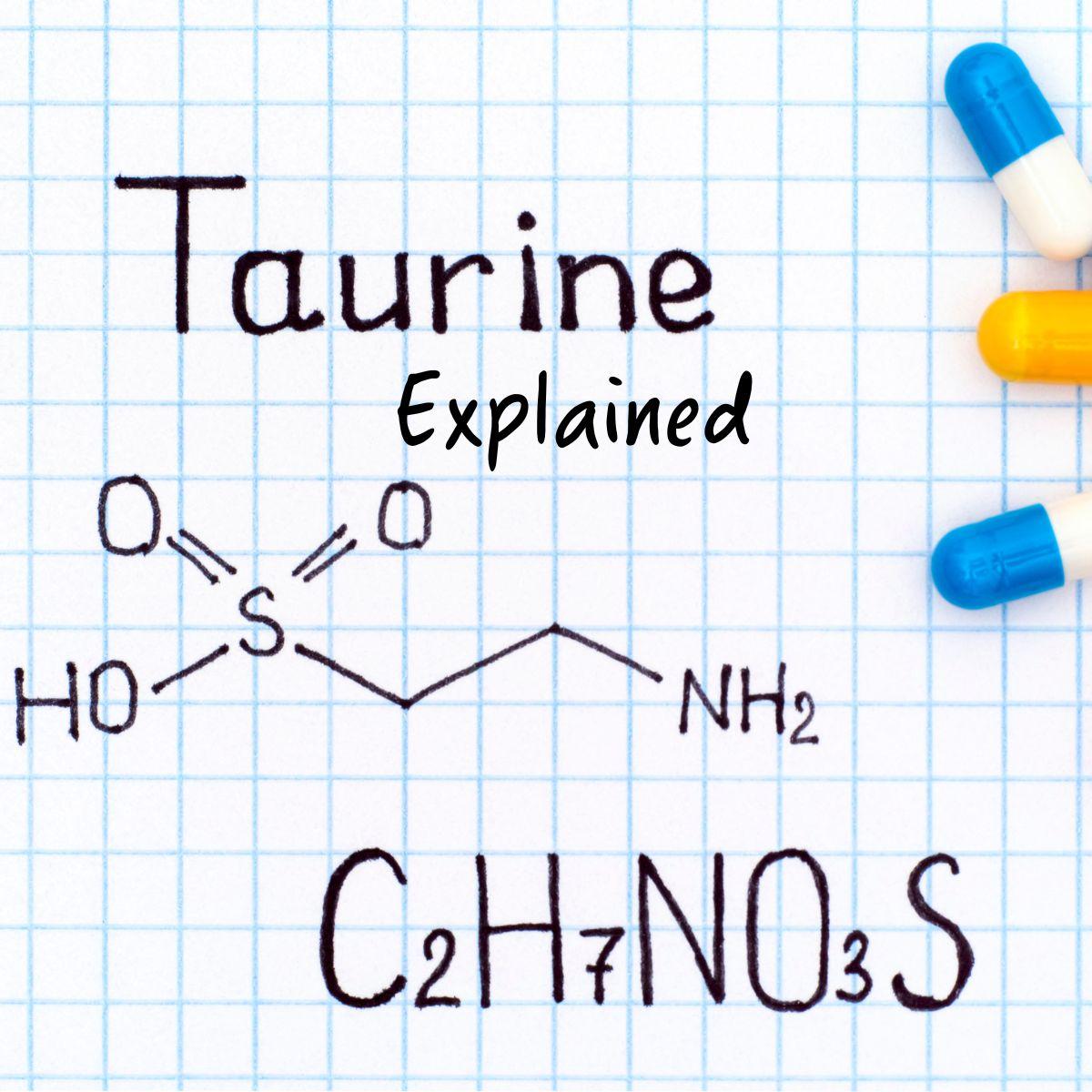 Let's Explore Taurine: Everything You Want to Know About Taurine