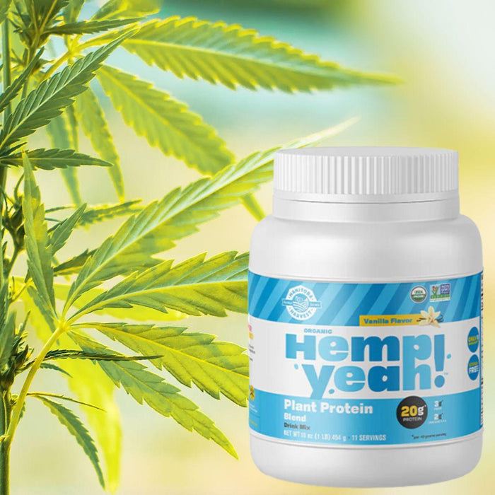 Hemp Yeah! Protein Powder Review & Taste Test