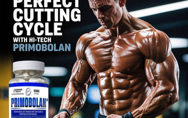 What to Stack With Primobolan to Amplify Lean Gains & Recovery