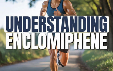 Understanding Enclomiphene