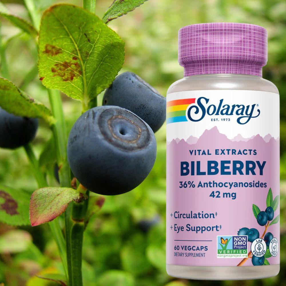 Solaray Bilberry Extract 42mg 60 Caps 
