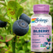  Solaray Bilberry Extract 42mg 60 Caps 