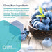  Life Extension Blueberry Extract with Pomegranate 60 Vegecaps 