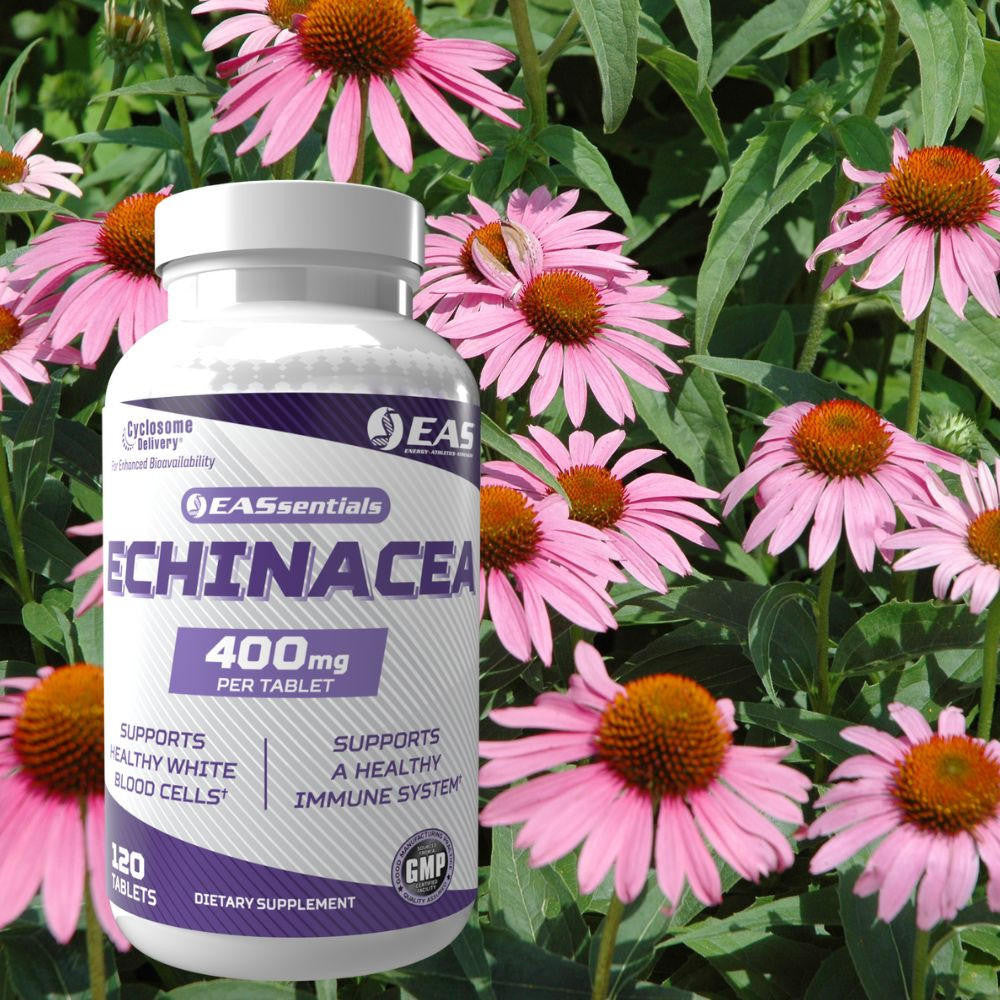  EAS  Echinacea 120 Tablets 