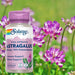  Solaray Astragalus Root Extract 200mg 30 Caps 