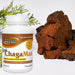  North American Herb & Spice ChagaMax 90 Capsules 