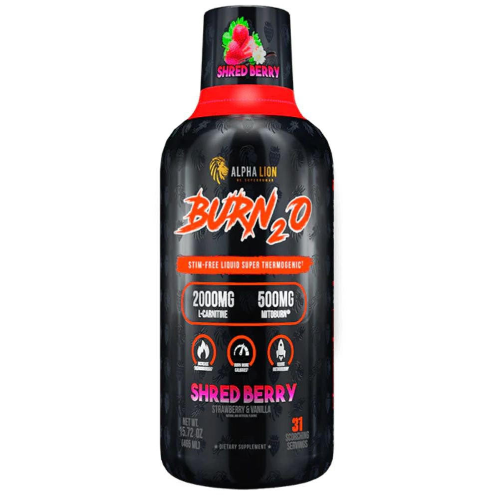 para que sirve el acetil l carnitina Acetil L Carnitina 400mg Y Acido Alfa Lipoico 200mg Spv 50cp Sabor Neutro