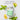  Solaray Super DigestAway 180 Capsules 