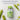  Solaray Okra 1,600mg 100 Capsules 